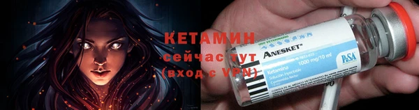 apvp Дмитриев