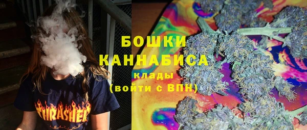 PSILOCYBIN Дмитров
