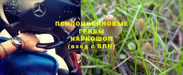 PSILOCYBIN Дмитров