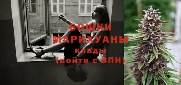 apvp Дмитриев