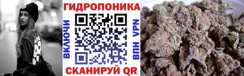 где продают   Питкяранта  Бошки Шишки сатива 